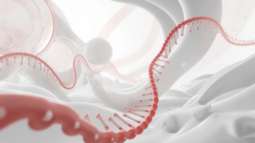 Close-up rendering of a red genetic helix moving through smooth white biological tissue and bubbles